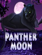 วิธีเล่น goldenslot ฟรี 15 สำหรับมือใหม่