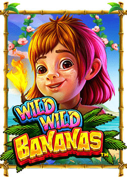 แนะนำ เว็บ แทง บา คา ร่า ออนไลน์ ที่ดีที่สุด